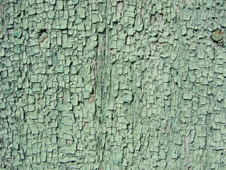 Vintage wood background with peeling paint.