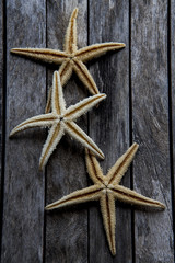 starfish in wooden background 3