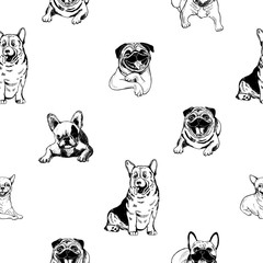 Seamless pattern of hand drawn sketch style dogs. Vector illustration isolated on white background.