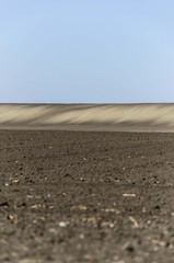 agriculture landscape