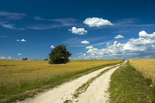 A path between fields