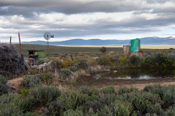 Karoo farmyard with dam and windpump