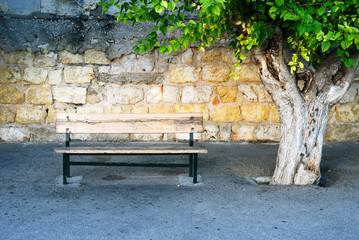 A bench in the shade of a tree, a place of rest