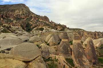 Fototapeta na wymiar Fairy Chimneys rock formation near Ürgüp, in Cappadocia