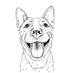 A smiling dog. Vector illustration