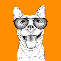 A smiling dog in sunglasses. Vector illustration