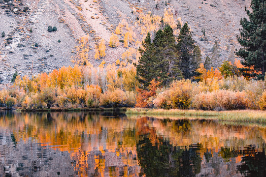 Texture Filled Autumn Lakeside