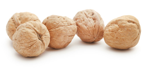 Walnut