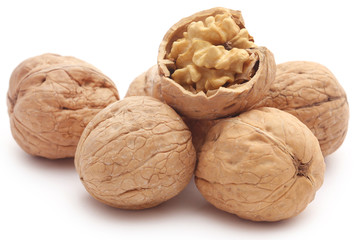 Walnut