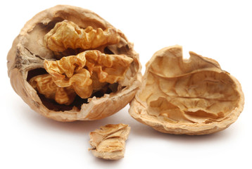 Walnut