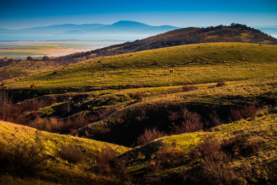 Tracian Land