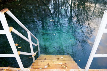Wooden staircase leading to clear blue water outdoors.