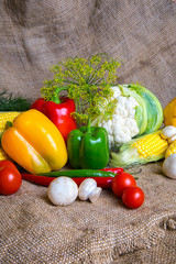 vegetables, vegetables on the table. corn, cauliflower, tomatoes, champignons, chili peppers