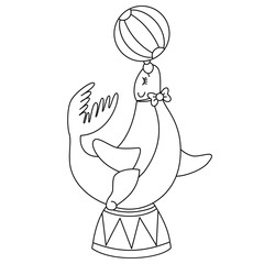 Vector Circus Seal Performing. Vector Circus Sea Lion