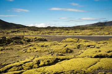 Typical Icelandic landscape, a wild nature of rocks and shrubs, rivers and lakes.