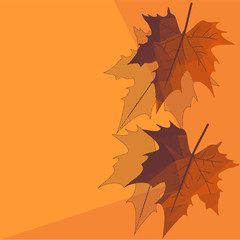 Background with Polygonal Autumn maple leaves