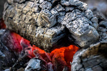 Firewood