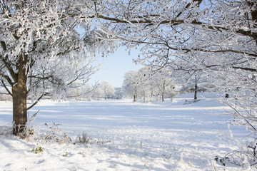 snowscene6