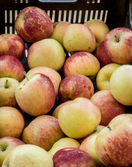 Greenery and fruit in the ecological market