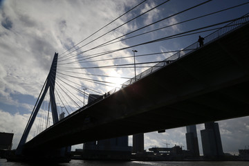 Schifffahrt im Hafen Rotterdam mit Erasmusbrug, Flagge und Panorama