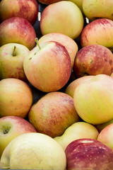 Greenery and fruit in the ecological market