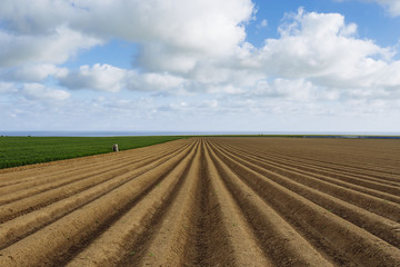 Plowed agricultural fields prepared for planting crops in Normandy, France. Countryside landscape, farmlands in spring. Environment friendly farming and industrial agriculture concept