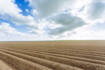 Plowed agricultural fields prepared for planting crops in Normandy, France. Countryside landscape, farmlands in spring. Environment friendly farming and industrial agriculture concept