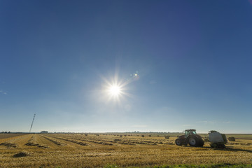 Yellow field with straw bales during harvesting on a sunny day in Normandy, France. Country...