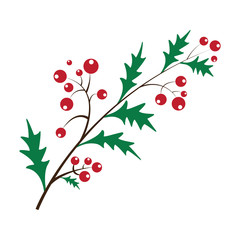 Rowan bunch of red berries red ripe leaf tree autumn season natural fruit vector illustration, seasonal Christmas bright delicious decoration