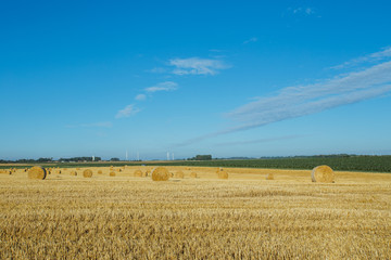 Fototapeta premium Yellow wheat field with straw bales after harvesting on a sunny day in Normandy, France. Country landscape, agricultural fields in summer. Environment friendly farming, industrial agriculture concept