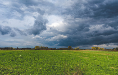 Beautiful lanscape, green field with trees and groves in the background in autumn on a cloudy day