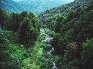 mountain river in the forest