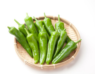 満願寺とうがらし