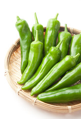 　満願寺とうがらし