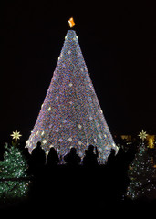 National Christmas tree in Washington with people's silhouette