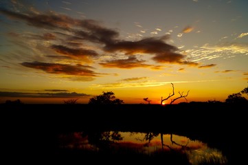 Fototapeta premium Sunset