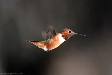 Naklejka premium Out of Here