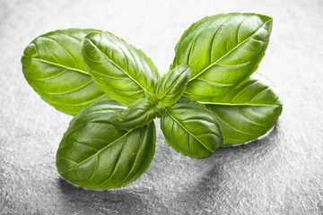 Fototapeta premium Sweet basil leaves over black stone background. Top view.
