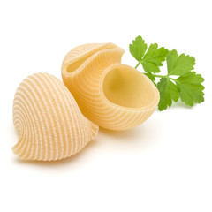 Italian lumaconi isolated on white background. Lumache, snailshell shaped pasta.