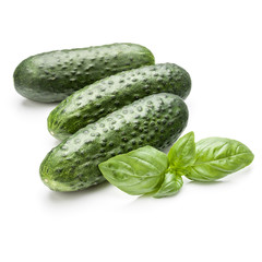 Cucumber vegetable and basil leaves isolated on white background cutout
