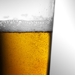 Freshly poured amber gold beer with frothy head and bubbles in a glass