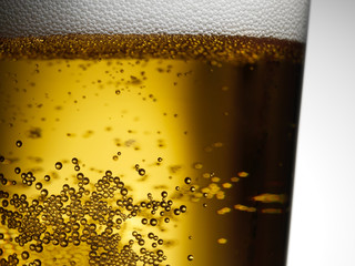 Closeup of freshly poured gold amber beer with frothy head and carbonation bubbles