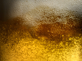 Closeup of freshly poured gold amber beer with frothy head and carbonation bubbles