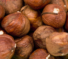 Hazelnuts on a White Background