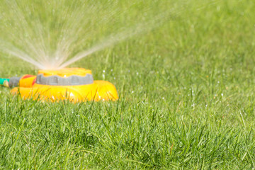 close up of fresh lawn with garden sprinkler