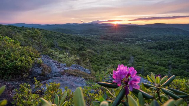 Time Lapse of Blue Ridge Parkway Sunset with Rhododendron