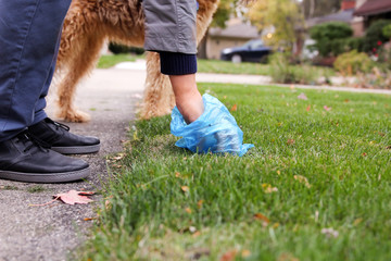 Man  Picking up / cleaning up dog droppings