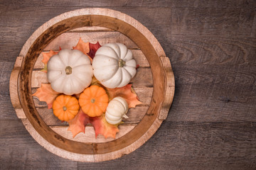 Welcoming Fall with basket of cute mini white and orange pumpkins