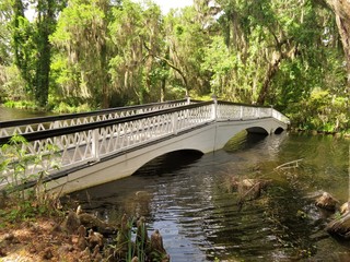 Bridge at Magnolia Plantation in Charleston, SC - 178513647