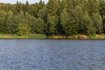 Blick auf den Gondelteich bei Friedrichsbrunn im Harz